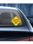 Arabada Prenses Var Sticker Araba Oto Motosiklet Sticker 00179 1