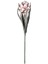 428126 "molave" Pembe/beyaz Tek Dal Yapay Çiçek 60CM Yüksekliğinde 2
