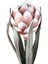 428126 "molave" Pembe/beyaz Tek Dal Yapay Çiçek 60CM Yüksekliğinde 3