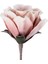 428128 "molave" Pembe/beyaz Tek Dal Yapay Çiçek 65CM Yüksekliğinde 3