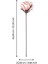 428128 "molave" Pembe/beyaz Tek Dal Yapay Çiçek 65CM Yüksekliğinde 4