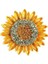 Sunflower Ayçiçeği Broş 1