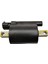 Dominar 250 Ateşleme Bobini JF351216 1
