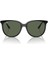 Güneş Gözlüğü Rayban RB4378 601/7154 1