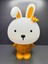 Tavşan 3 Kademe LED Işıklı Çocuk Masa Gece Lambası-3d Galaxy Kuromi Hello Kitty Sevgili Oyuncak 2