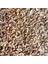 Cay-Cay Mini (Brown) Kiloluk Deniz Kabuğu (1 Kg) 1