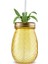 Ananas Transparent Pipetli Su Şişesi 550 ml 1