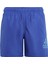 Sportswear IC7696 Logo CLX Swim Shorts 1
