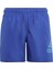 Sportswear IC7696 Logo CLX Swim Shorts 4