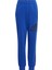 Sportswear IJ6301 Essentials Regular Fit Big Logo Cotton Pants 4