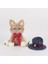 26 cm Furina Miyav Linny Kedi Oyuncak Peluş (Yurt Dışından) 2
