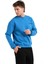 Bisiklet Yaka Nakışlı Şardonlu Içi Polarlı Mavi Erkek Sweatshirt - Volar 3