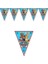 Paw Patrol Flama Bayrak Set (2 Metre) 1