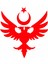 Anadolu Selçuklu Çift Başlı Kartalı Ay Yıldız Araba, Motorsiklet, Kask, Laptop, Cam Sticker 2