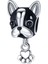 Köpek Charm 1