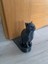 Sevimli Kedi Kapı Stoplayıcı Kapı Tutucu Kapı Altı Takozu Kapı Du 2
