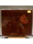 Mercan Dede Secret Tribe ‎– Nar CD 2