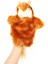 Kahverengi Sincap Peluş Oyuncak Çocuk Interaktif El Kuklası 23CM (Yurt Dışından) 1