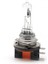 H15 Standart Halogen PH5515 2