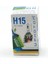 H15 Standart Halogen PH5515 5