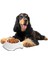 Silikon Kaydırmaz Taban Plastik Kedi ve Köpek Mama ve Su Kabı 2 L (4738) 2