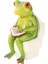 Yenilik Kurbağa Figürinleri Reçine Craft Frog Heykel Heykeli Creative Frog 5X8.5X11CM (Yurt Dışından) 2