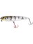 Surf Dawq Buzzer 11,5cm 24G Maket Yem 1/1 4