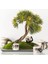 Mudo Home Zebra Wıld Kahve Fincanı 2