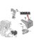 Citroen C-Elysee Motor Takoz Sol (2012-2022) 1.2 VTI, 1.6 VTI 9810216980 2