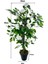 Yapay Ağaç Beyaz Nilüfer Ağacı 90 cm 3
