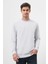 Erkek Gri Bisiklet Yaka Dynamic Fit Rahat Kesim Sweatshirt 1