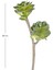 Yapay Sukulent Kaktüs Yeşil 50 Cm. 3