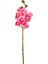 Yapay Orkide Gerçek Dokulu Pembe 75 Cm. 1