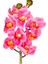 Yapay Orkide Gerçek Dokulu Pembe 75 Cm. 2