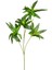 Yapay Dracena Bitkisi Yeşil 75 Cm. 1