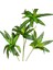 Yapay Dracena Bitkisi Yeşil 75 Cm. 2