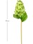 Yapay Ortanca Islak Dokulu Yeşil 70 Cm. 3