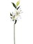 Yapay Çiçek Lilyum Beyaz 90 Cm. 1