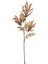 Yapay Çiçekli Bitki Pampas Kahverengi 90 Cm. 1