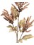 Yapay Çiçekli Bitki Pampas Kahverengi 90 Cm. 2
