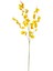 Yapay Çiçek Kelebek Orkide Sarı 85 Cm. 1