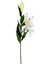Yapay Çiçek Lilyum Beyaz-Sarı 90 Cm. 2