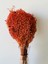 Kuru Çiçek Turuncu Kalp Otu Demeti Vazo Çiçeği 1