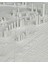 Dubai 3D Tablo 5