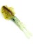 3541 Sipya Squid 7cm Sübye Suni Yem 3