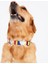 Dog.ist Geometric Premium Sürdürülebilir Küçük ve Büyük Irk Köpek Boyun Tasması 2