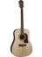 HD10S Heritage 10 Serisi Akustik Gitar 2
