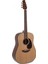 Applause AAD-96-4 Akustik Gitar 1