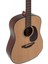 Applause AAD-96-4 Akustik Gitar 2