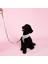 Dog.ist Cheetah Premium Sürdürülebilir Küçük ve Büyük Irk Köpek Gezdirme Kayışı 2